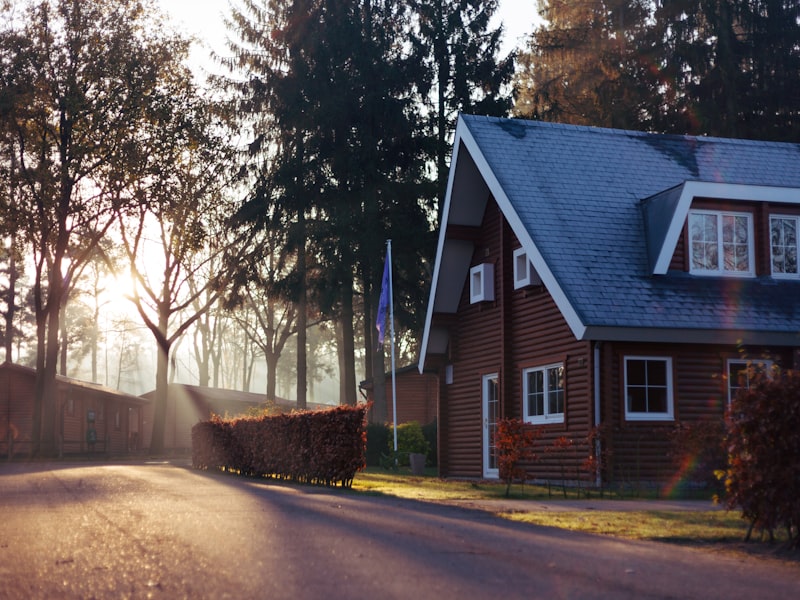 Dakpannen vervanging. Haarlem
